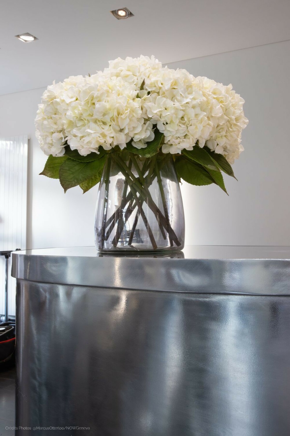 Photos du salon Victoria Coiffure Victoria Coiffure